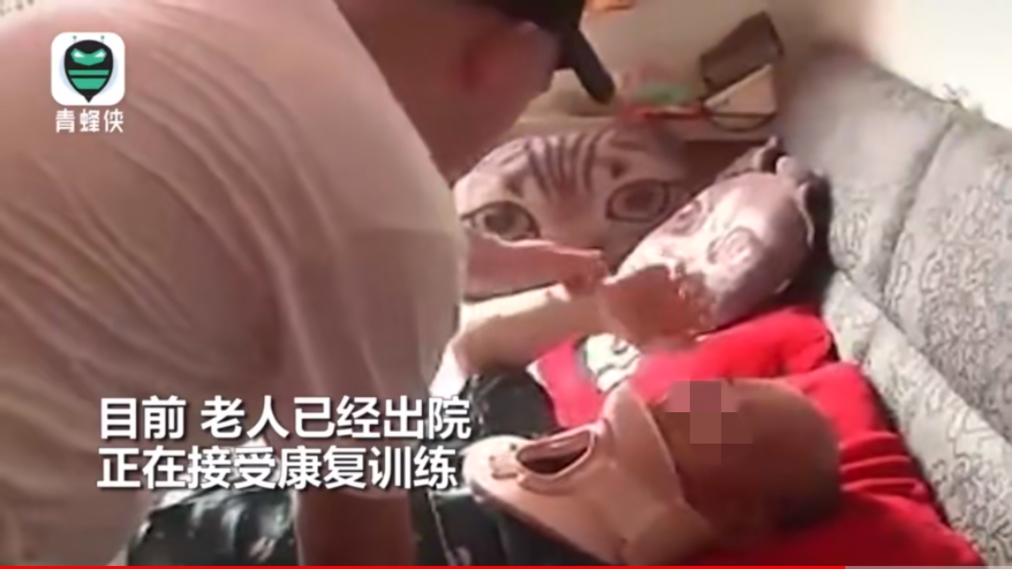 猫咪高空坠落砸到人,猫咪高空坠落主人要负责吗