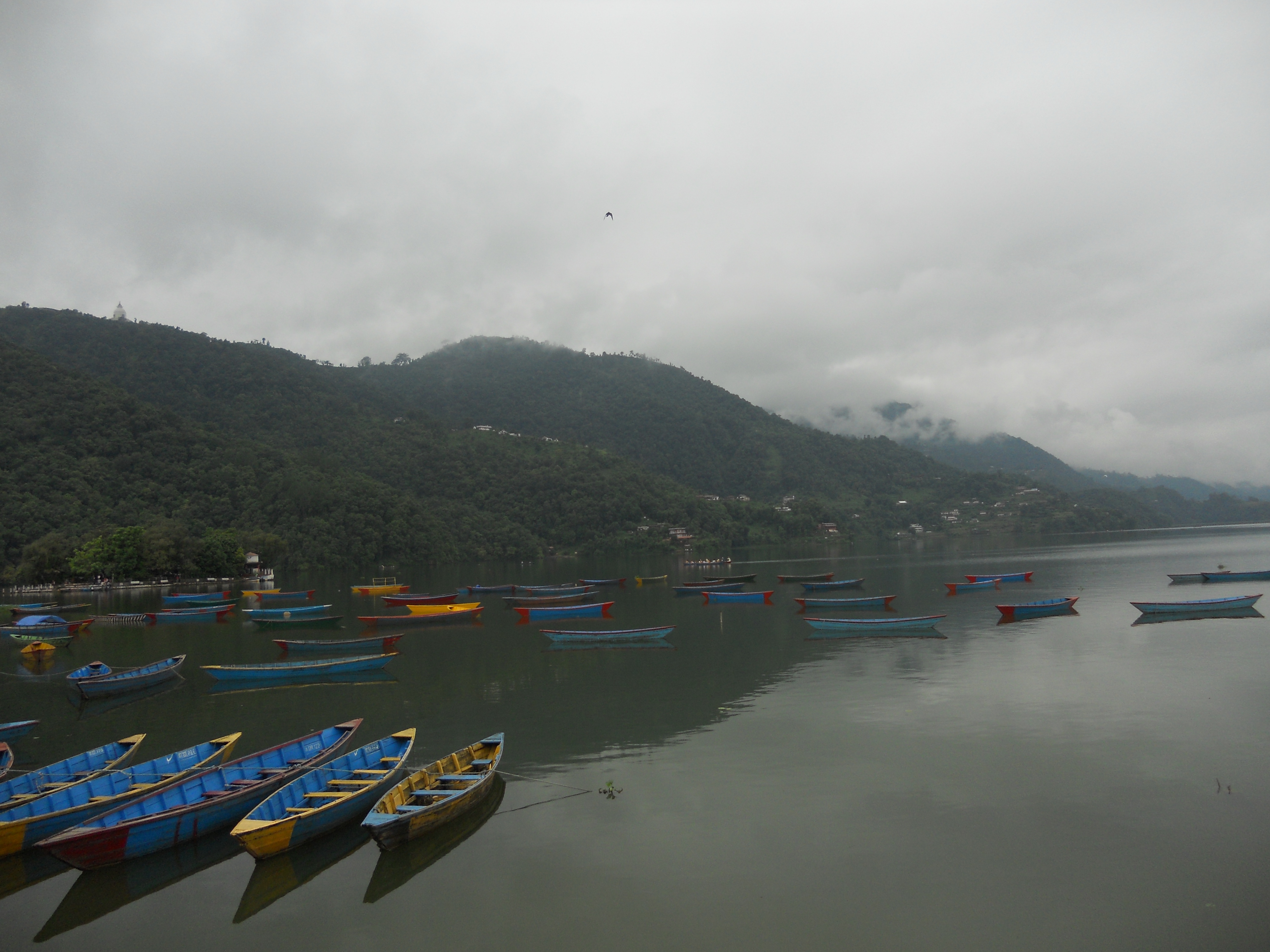 中国的后花园是指哪里,尼泊尔之游