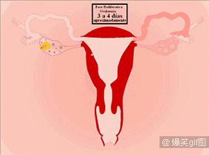 月经量少还发黑说明身体有问题？先搞清这些月经标准再说吧