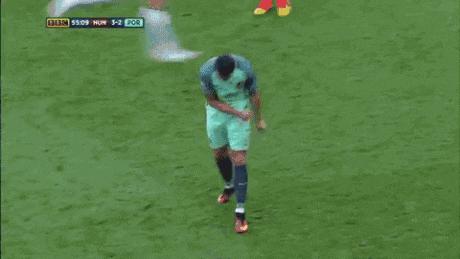 老虎：这是我准备养大吃的，你来凑什么热闹