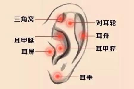 耳朵的耳垂上有深痕是什么原因,耳朵耳垂有一道痕怎么调理