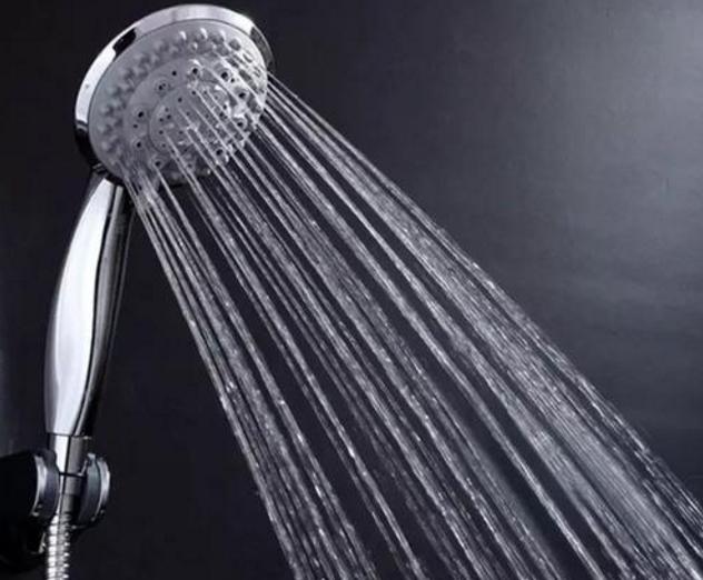 如何给泰迪犬洗澡,泰迪犬洗澡的正确方法