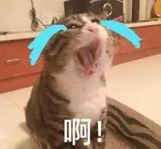 澳籍华女返澳,澳籍返华女子最新处理