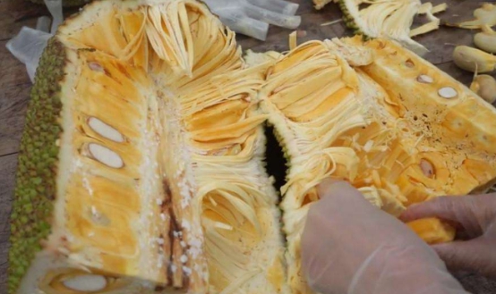 最好剥皮的水果,最好剥皮的四种水果你知道么