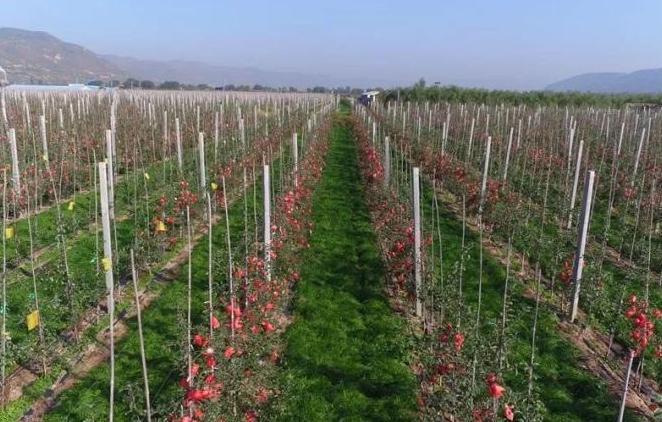 靠山吃山靠水吃水怎么回事,靠山吃山靠水吃水哪里都有