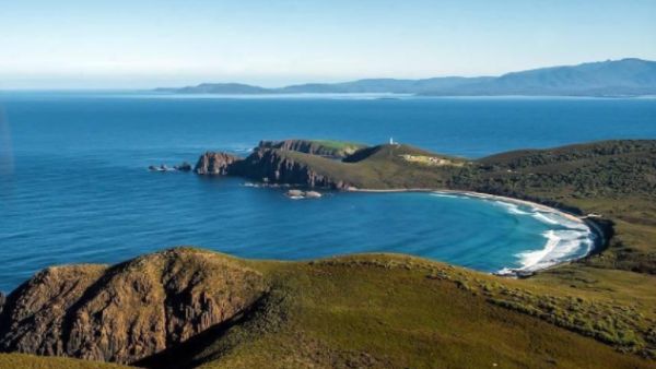 中国留学生在澳洲身亡后续,中国留学生在日本溺亡后续