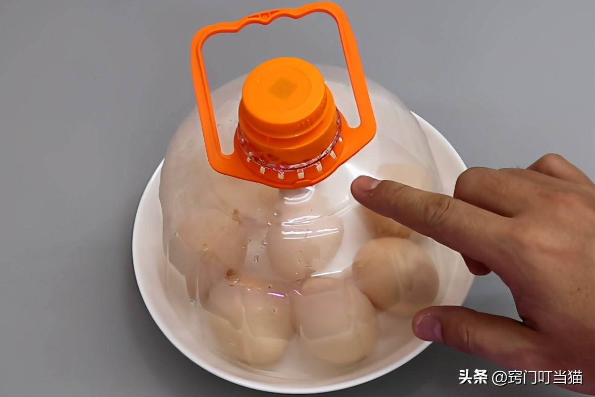 生活小妙招油桶消灭苍蝇,空油桶千万别扔了这样剪一刀