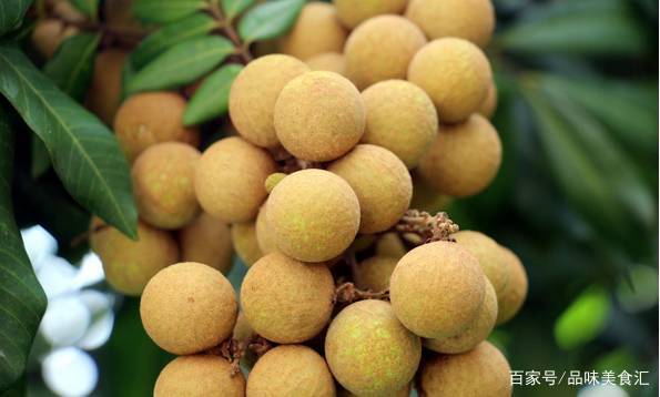 广西有什么好吃的特产可以带,广西贵港有什么特产可以送人的