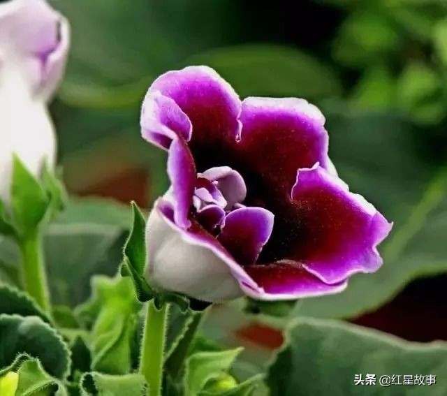 追忆我的父亲母亲,怀念我的父亲和母亲