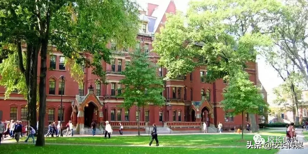 哈佛有多勤奋,哈佛世界第一