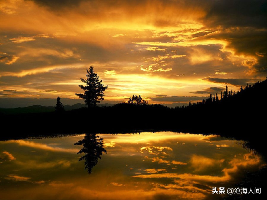 鲍勃迪伦音乐全集,blowinginthewind鲍勃迪伦