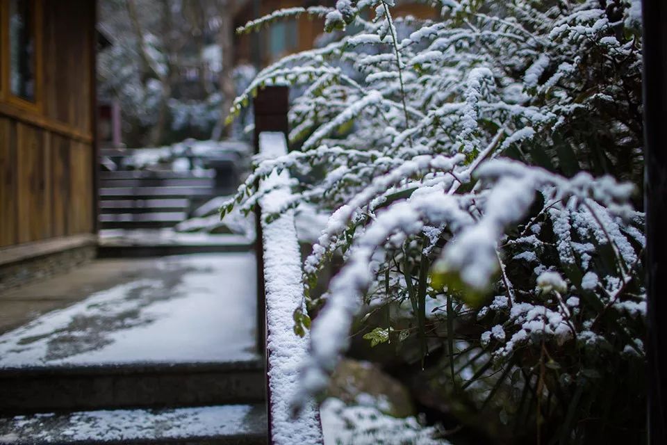 没有孵过混堂的上海冬天，是不完整的