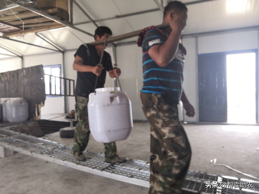 乾隆皇帝宠爱女人,乾隆皇帝独宠如意