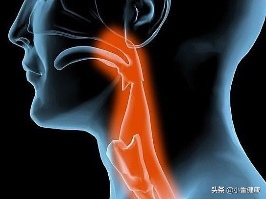 食物太烫会导致口腔溃疡吗,食物温度高对身体有影响吗