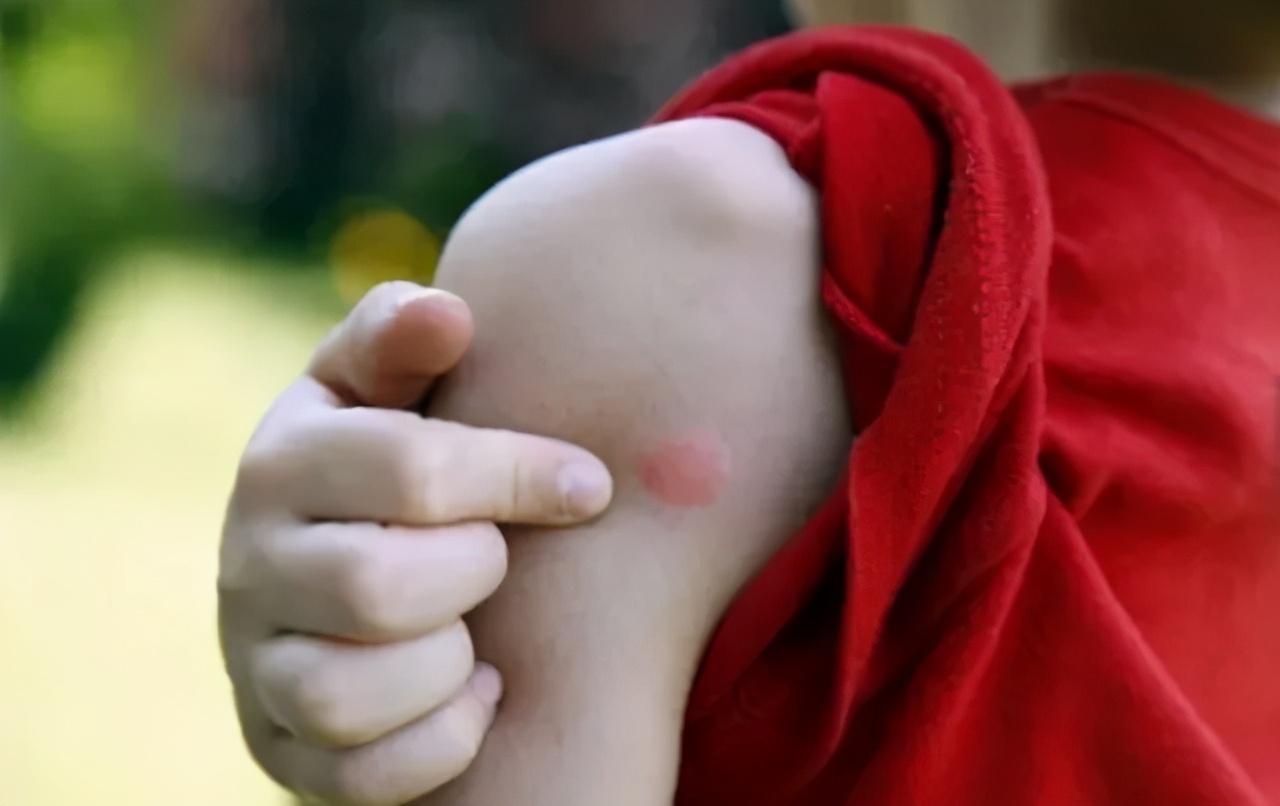 日本1亿家庭疯抢隐形蚊帐，超长待机100天，蚊子不进家门