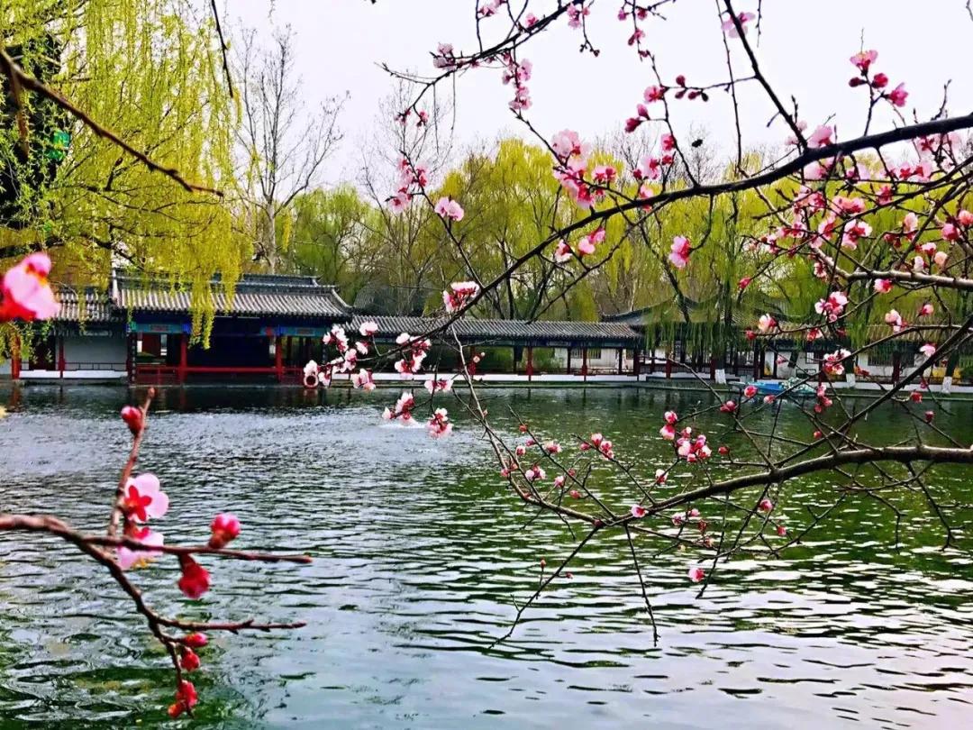 约惠女神节特优活动,约惠女神节优惠活动