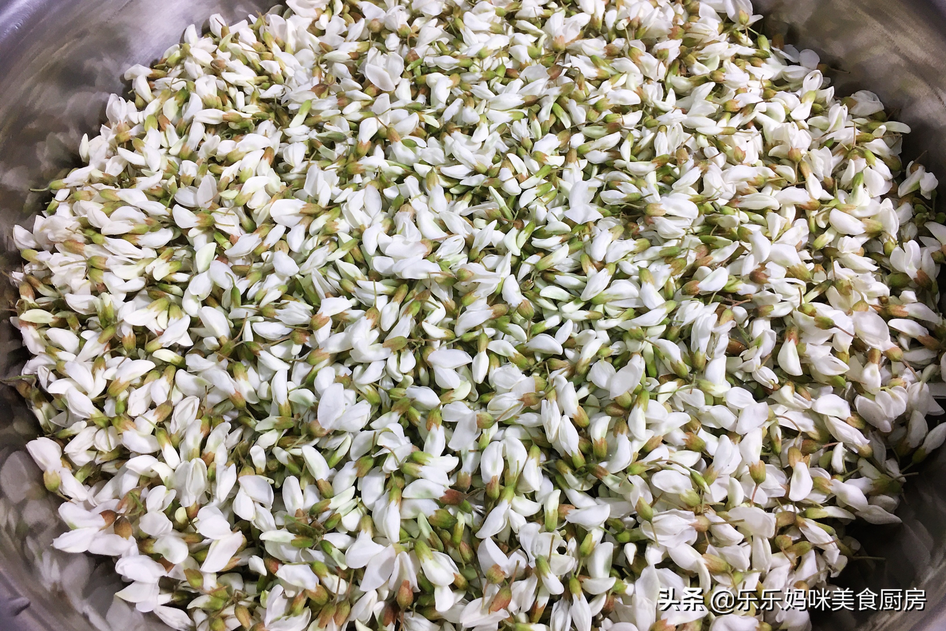 怎么能让槐花一直保持香气,槐花怎样储存保鲜的时间较长