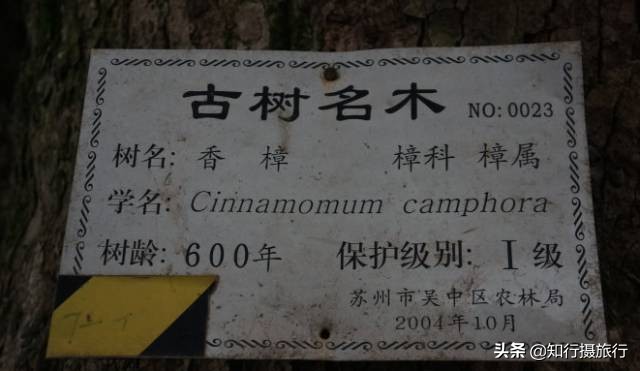 苏州太湖西山岛江浙沪最强攻略,太湖西山岛旅游完整攻略