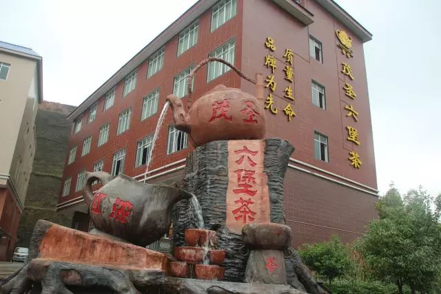 全国十大名茶旅游地,中国十大茶旅