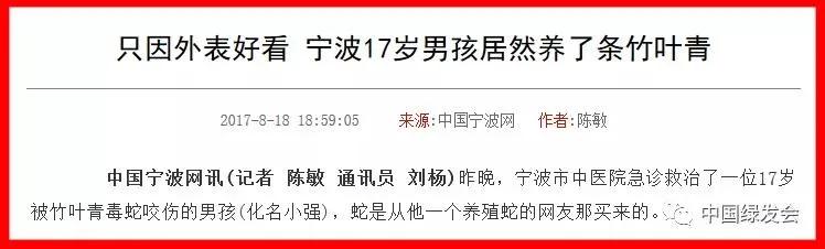 双十一护手,双十一攻略洗护用品