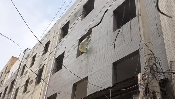 北郊城中村团结村,西安北郊团结村拆迁补偿方案