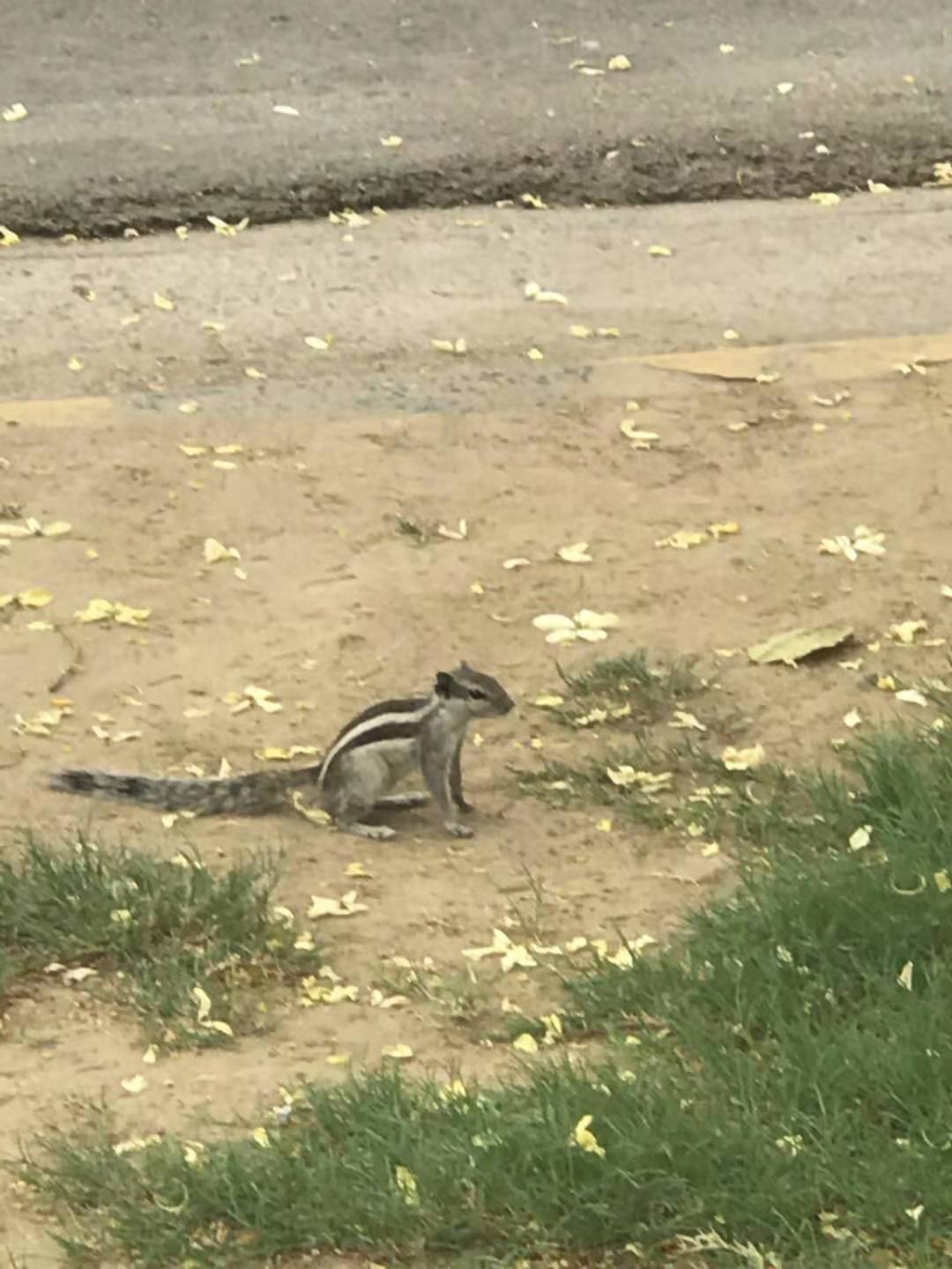 带你领略异国风情,带你领略东南亚6国异域风情