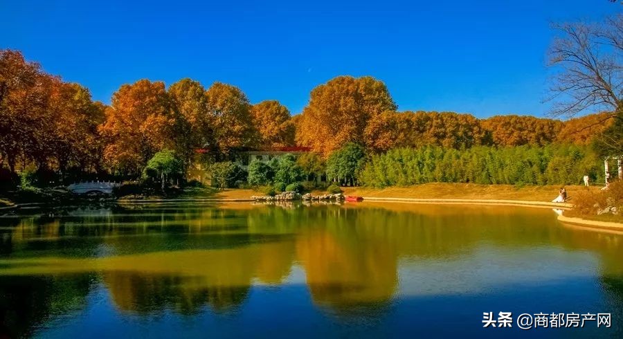 近20年，干3件事，正弘北区之路，初心未改