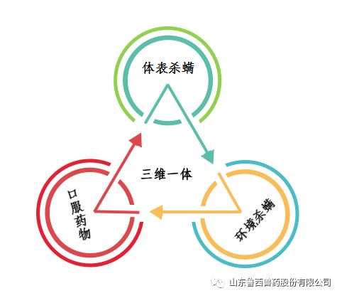 “三维一体”的鸡红螨鲁西解决方案