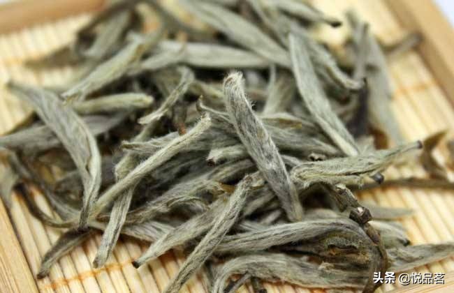 白毫银针分北路银针和西路银针,白茶中最顶级的白毫银针