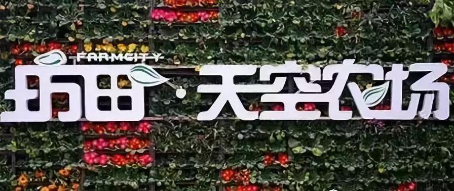 新兴业态正成购物中心,购物中心什么业态最赚钱