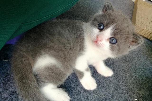 一篇万字长文,万字长文干货