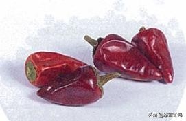 各种辣椒的介绍以及辣度,带你了解更多的辣椒知识