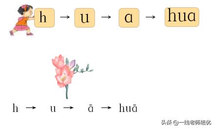 部编一年级期中知识点,部编版一年级上册知识点