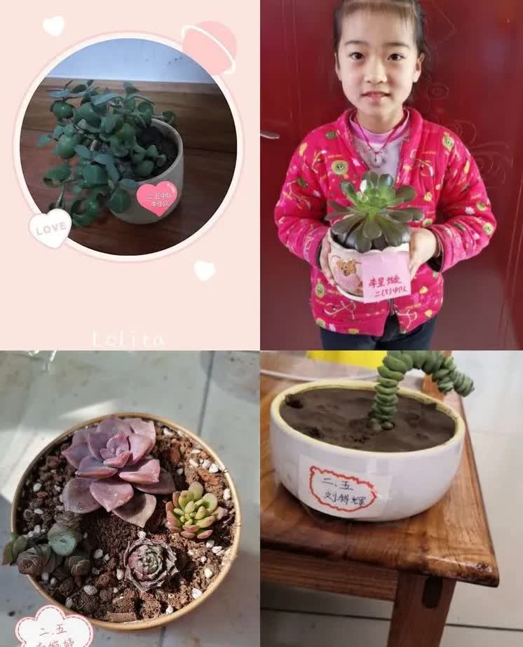 研学实践劳动教育,小学劳动教育研学活动是什么