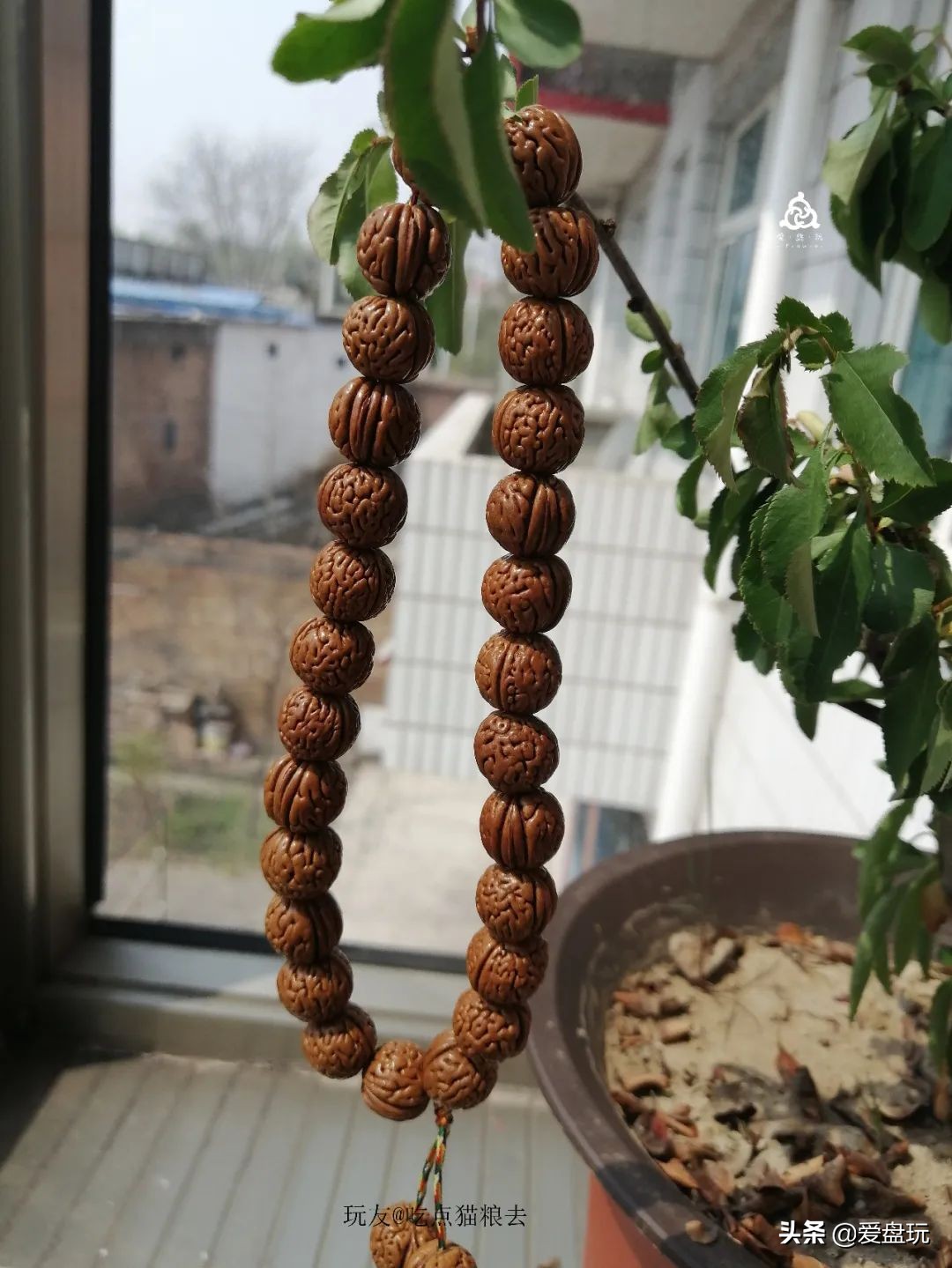 什么叫穷玩？手串超过300块，算我输！