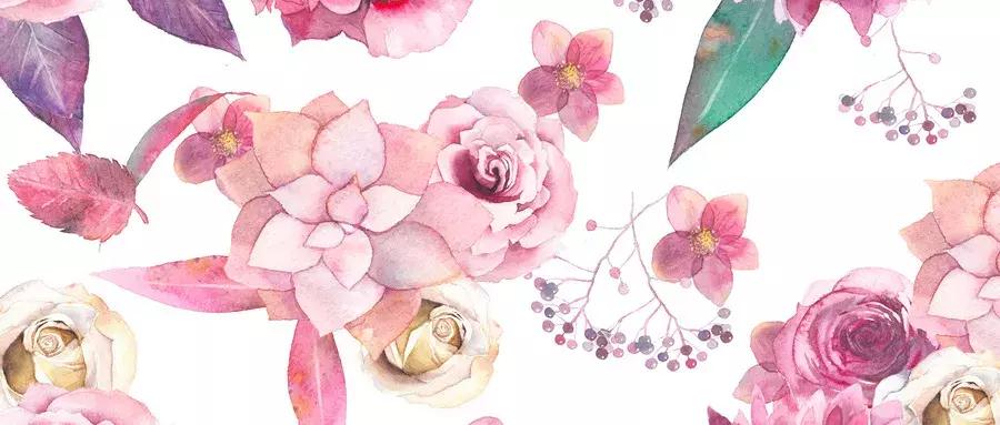 芦丹氏玫瑰陛下在哪里买,芦丹氏玫瑰陛下为什么绝版