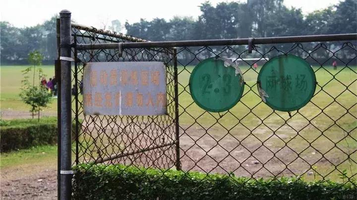 双流竟藏着如此绝美的“秘密公园”，约吗？