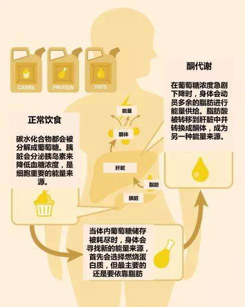 血清白蛋白和前白蛋白的区别,医学生教育的重要性