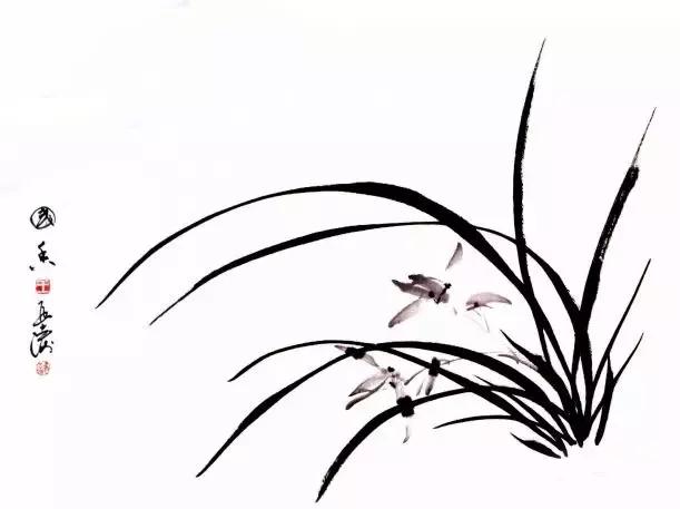 兰花绘画技法教程视频,泰国兰花绘画技法