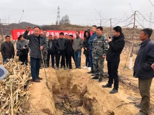 鍔涢噺2022,鍔涢噺2020