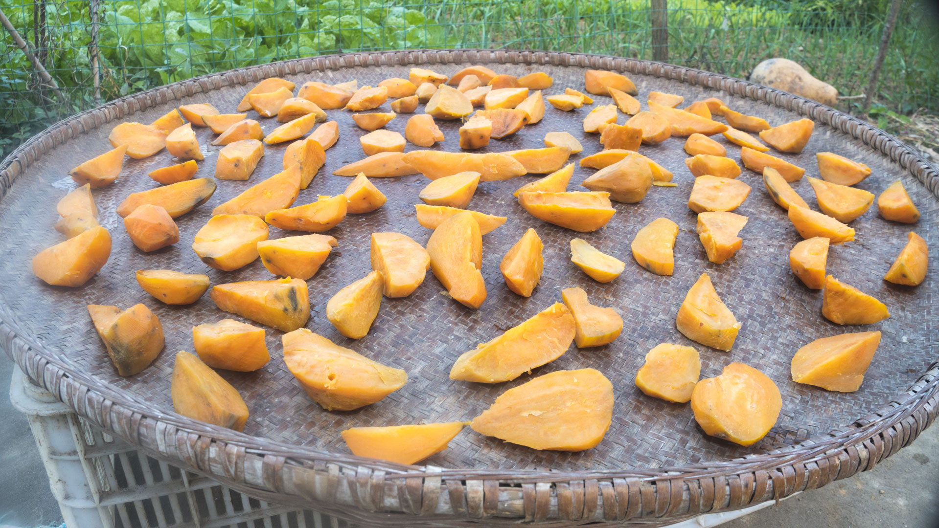 秋季滋补多吃10种食物,秋季食疗养生食谱