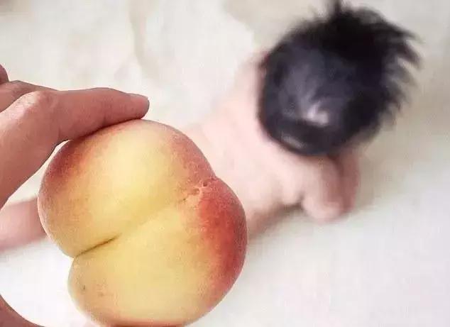 蜜桃臀的*伤杀**力有多大？十个男人九个爱