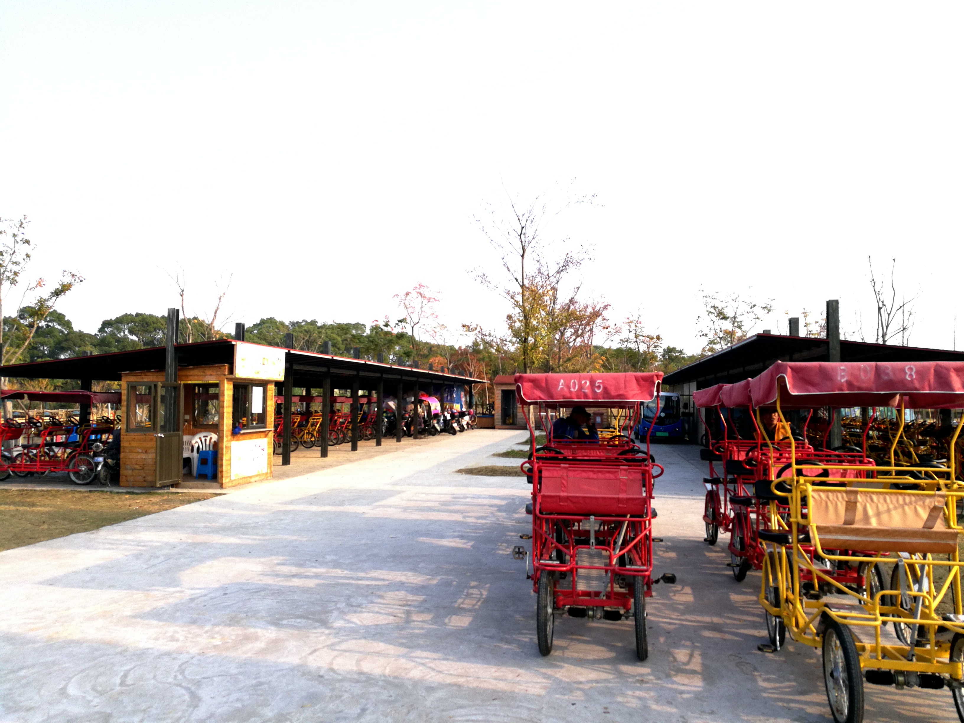 上海长兴岛郊野公园可以看见海吗,长兴岛郊野公园离上海站有几公里