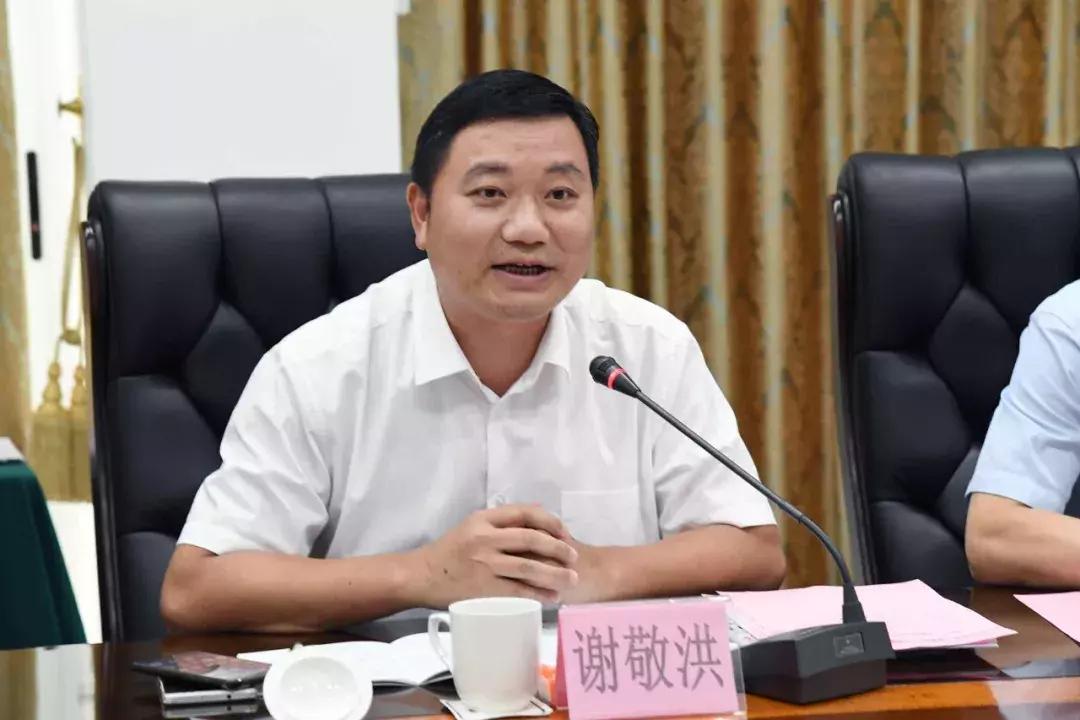 菜篮子探访,大湾区菜篮子基地