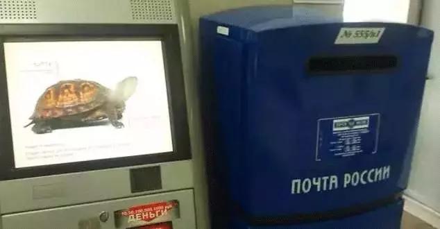 中国可以给外国寄快递吗,中国怎么给外国寄快递