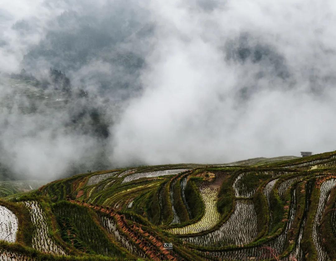 农造田野丨总有一根神经通往乡野|月亮山百里梯田