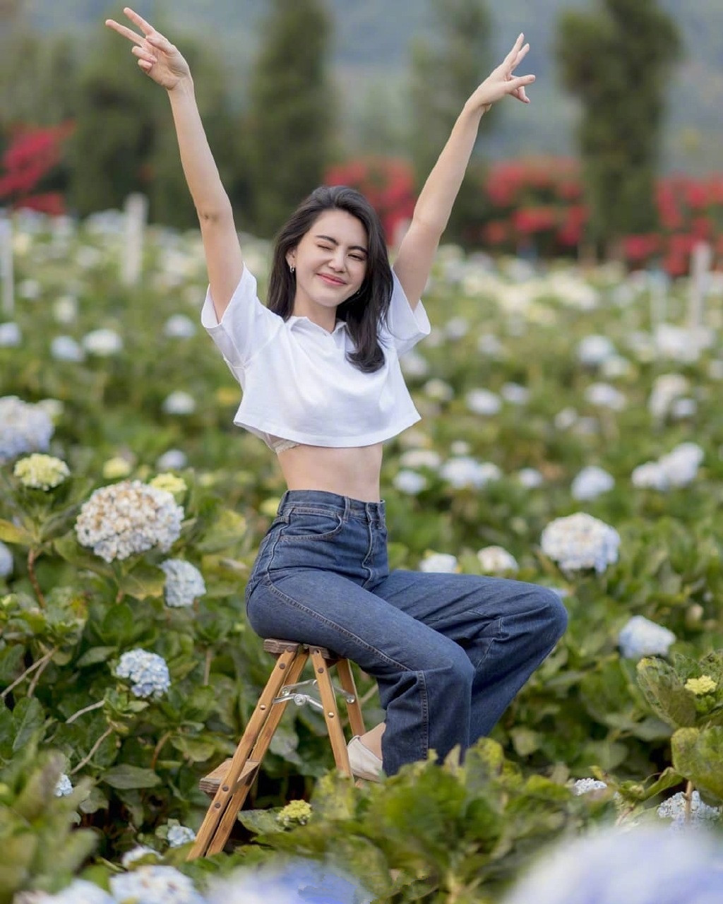 鍗佷嚎濂崇帇,浜夸竾濂崇帇褰掓潵涔拌溅鍚庣画