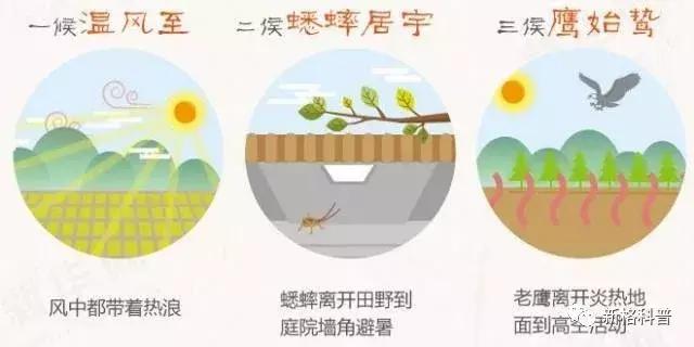 今日小暑节气祝福语,今日小暑节气的习俗