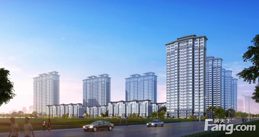 正商集团总经理张建敏,张建敏洛阳