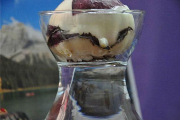 水培风信子可以转为土养吗,风信子水培如何繁殖